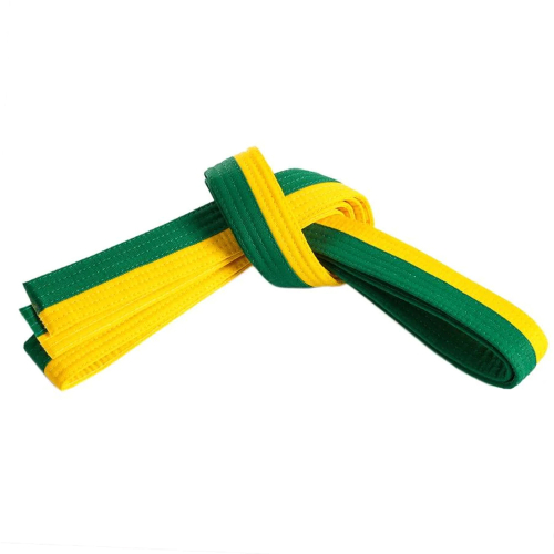 PMI-1638